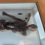 Ötzi, el Hombre de Hielo: un linaje completamente diferente a sus vecinos alpinos